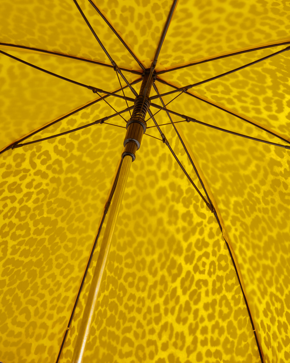 Displays the Lemon 'Hunter' branded unisex GANNI X Hunter Umbrella open